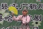 呼家将/王小打鸟/皇宫案