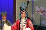大刀王怀女 选段