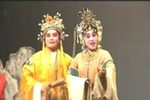呼家将 呼丕显征西下载