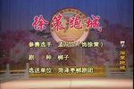 徐策跑城 选段