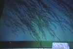 青丝恨 全集下载