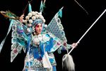 杨门女将 全集下载