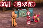 遗翠花 上集下载