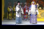 大保国下载