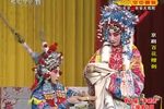 百花赠剑下载