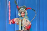 双阳公主问樵