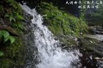 张先儿娶妻下载
