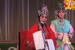 朱砂痣 全集下载