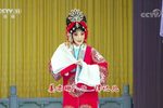 望江亭 全集下载