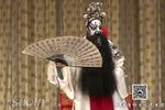 艳阳楼下载