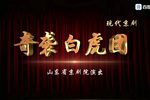 奇袭白虎团 全集