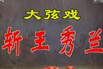 斩王秀兰下载