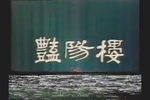 艳阳楼下载