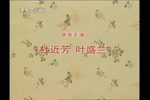 佘赛花
