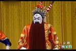 杨家将 全集