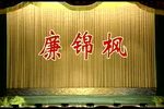 廉锦枫下载