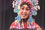 斩皇子/穆桂英挂帅/反西京/樊梨花征西 选段