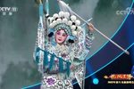 杨门女将 选段