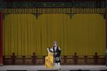 二进宫下载