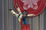 朝金顶