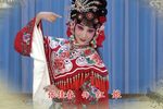红娘 全集下载