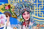 贵妃醉酒 选段