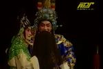 桃园奇冤 全集
