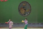 金花女 全集