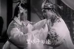 告亲夫 全集下载