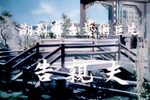 告亲夫 全集下载