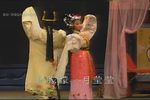 白狐仙 全集下载