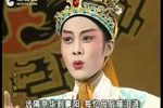 皇子争国 全集
