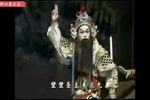 岭南忠魂 全集下载