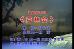 芦林会下载