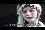 御园辩亲 全集