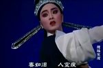 沈园绝唱下载