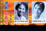 金菊花下载