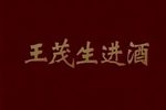 王茂生进酒下载