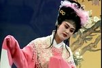 王妃告夫