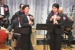 芦林会枯木逢春再生枝下载