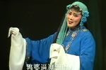 孝妇杀家姑玉梅命乖苦伶仃 选段