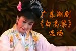 白高粱