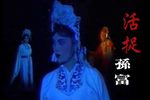 活捉孙富下载