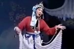 梅亭雪下载
