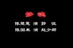 赵少卿梦魂 选段