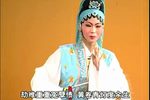 金龙银凤