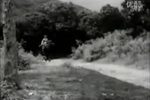 钗头凤 全集下载