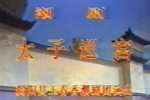 太子巡宫