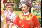 孟丽君 下集下载
