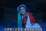 潇湘秋雨荆棘满途步履难 选段